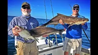 North Carolina Cobia Fishing with IRT Reels
