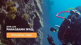 PANAGSAMA WALL | MOALBOAL CEBU | DIVE LOG 208