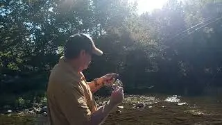 Testing a Fishing Rod Repair
