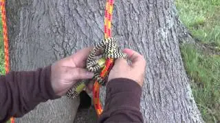 Distel Hitch