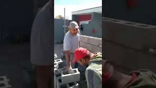🔥🕺 LA MOLE MOLI CUARTETEANDO EN SU NUEVO OFICIO #VIRAL #CUARTETO #ALBA&Ntilde;IL #MOLE #MOLI #SHORTS
