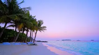 Heaven on Earth: Maldives & Ocean Waves 4K 60FPS Dolby Vision