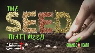 Change of Heart Part 2 - The Seed that I Need | Tim Warden
