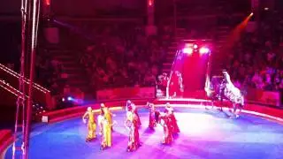 Zirkus in Moskau