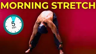 5 MINUTE MORNING STRETCHING EXERCISES | Beginner Friendly | May Stretch Routine