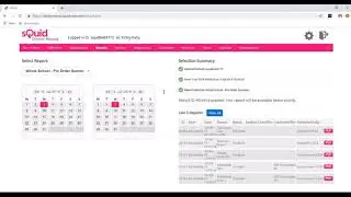 How to run and open reports