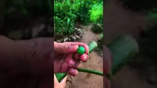 Simple Bamboo Gun 😍