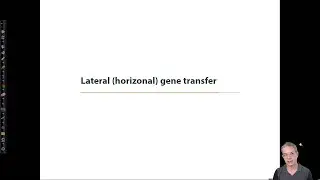 Horizontal gene transfer in phylogenetics