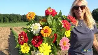 Rosedale Farms & Vineyards - Flower Power