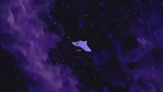 SwiftSole Pro | 03.18.23