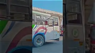 New Patial | Patial Bus Service | Patial Bus | Kangra To Palampur | #trending #viral #shorts