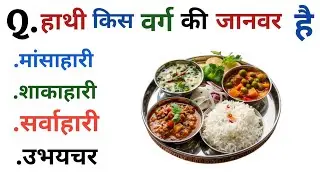 General Knowledge Most Important Question GK Quiz | 2026 GK Top 10 Question Answer 