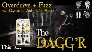 The DAGG'R (Dynamic Auto-Gain/Gate)