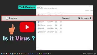 "Program" in Startup tab in Task Manager  Windows 11 and Windows 10