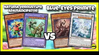 (Mini Duel) NATURIA VERNUSYLPH ADAMANCIPATOR vs BLUE-EYES PRIMITE [Yu-Gi-Oh! Master Duel]