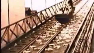 Shoot the Chute