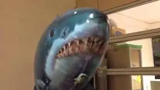 Poisson Volant