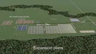 Arcadia Native Fish Hatchery Expansion | Go Fishing and Boating Victoria