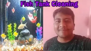 ❤️vloge 🐋fish tank clean 👍like share subscribe my channel support mee☺️