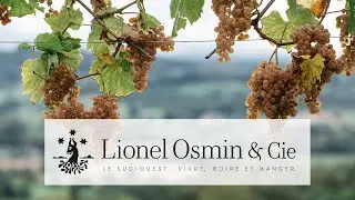 Teaser partenaire CJD - LIONEL OSMIN & CIE