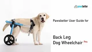 Full Support Dog Wheelchair User Guide