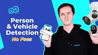 Best Reolink Person Detection & Vehicle Detection Camera 2021: Wire-Free, 2.4/5 GHz WiFi, PTZ, or 4K