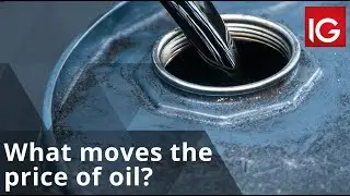 What moves the price of oil?