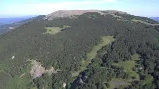 Pratomollo HQ1
