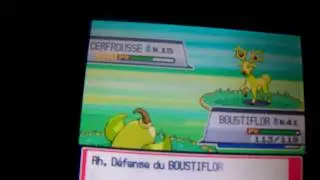 #234 Cerfrousse / Stantler Shiny
