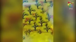 Effect of Light through Colourful Jagged Glass on a Tree