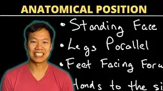 What is the Anatomical Position Definition?