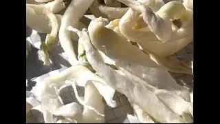 Papaya /Dried Green  Papaya /Relax /Garden  /Chinese in America   青木瓜干 /田园 /休闲 / 华人在美国