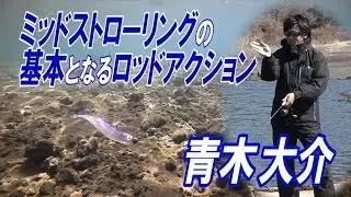 青木大介が解説！ミッドストローリングの基本ロッドアクション