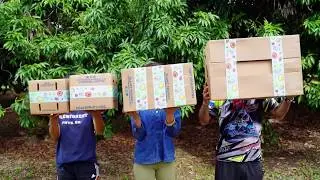 Miami Fruit&rsquo;s Eco Friendly Packaging + Box Size Guide
