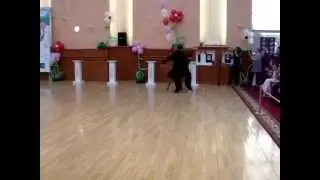 MOV09485
