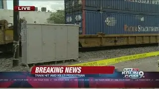 Pedestrian killed after being struck by train