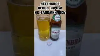 Steinbrau beer pilsner / обзор на пиво #22 / #пиво #steinbrau #beer #обзорнапиво #пивнойобзор