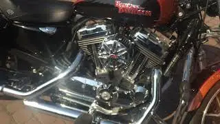 Harley Davidson SuperLow 1200T V&H mufflers