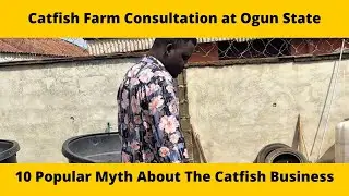 Catfish Farm Consultation, 10 Popular Myth About The Catfish Business In Nigeria