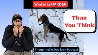 Cold Weather Dog Care: What Every Dog Owner Should Know