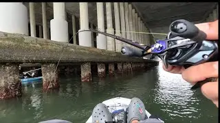 Fishing under the bridge in | Carlsbad Lagoon |