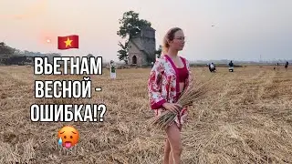 Погода во Вьетнаме в мае. Дананг и Хойан точно не сезон: Жара, влажность, рисовые поля ВСЁ😨