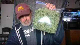 Cannabis plant trim jail