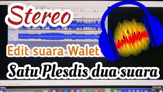 CARA MEMBUAT DUA SUARA WALET DISATU PLESDIS (STEREO)