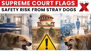 Stray Dogs Hearing: Supreme Court Continues Hearing on Stray Dogs Case With Three-Judge Bench