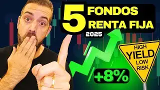 5 Fondos High Yield para 2025 (hasta 8% anual sin sobresaltos)