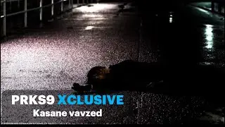 kasane vavzed 
