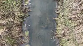 Piekary Śląskie rzeka Brynica Dron DJI Flip