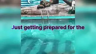 # pool cafe # MT # Delhi # swimming pools