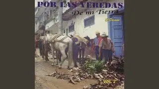Siempre Iguales